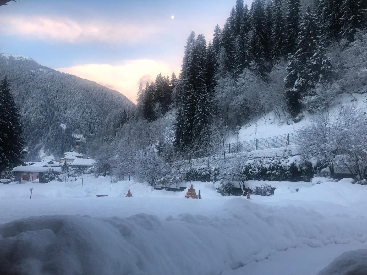 Holidays Dolomiti Apartment Resort Carisolo Εξωτερικό φωτογραφία